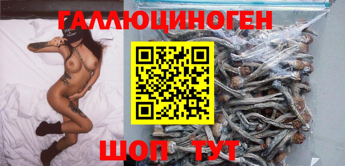купить закладку  Псилоцибиновые грибы мицелий  Вход с VPN  Партизанск  Псилоцибиновые грибы прущие грибы 
